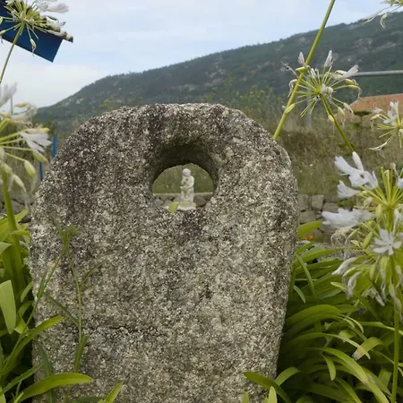 Loft - Es Filosofia De Vida * 오이아